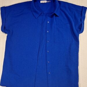 Calvin Klein Womens Blue Shirt
